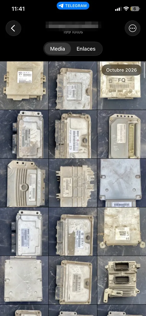 Galería de fotos recibidas por el bot: decenas de módulos de ECU fotografiados sobre una mesa en el depósito. El nombre del bot está pixelado.